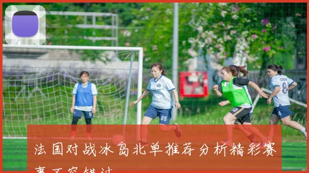 法国对战冰岛北单推荐分析精彩赛事不容错过