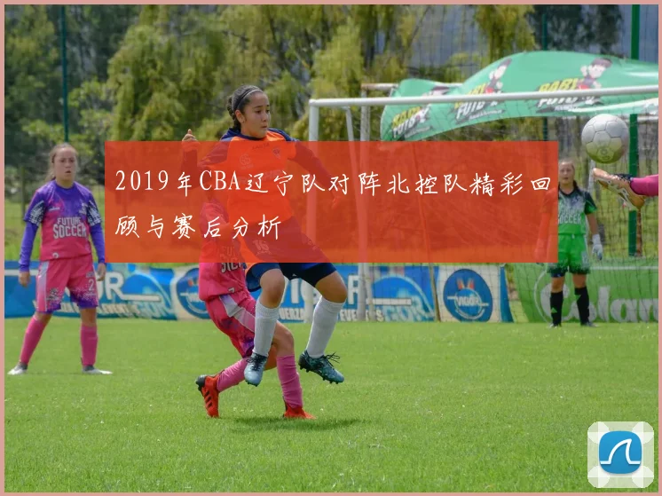2019年CBA辽宁队对阵北控队精彩回顾与赛后分析